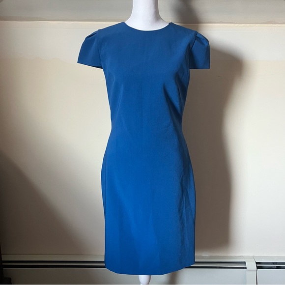 Alice + Olivia Dresses & Skirts - Alice + Olivia Blue Cap Sleeve Bodycon Dress w/ Lace Back size 10